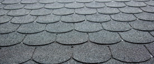 shingles boeidelen